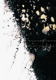 ƽƽ����ŮbetaĿ��֮��״(��